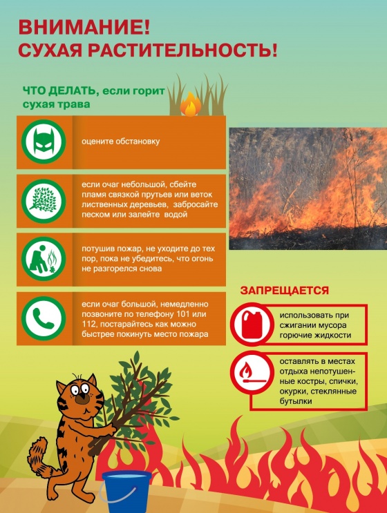Внимание! Сухая растительность.