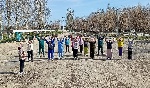 «Активное долголетие»