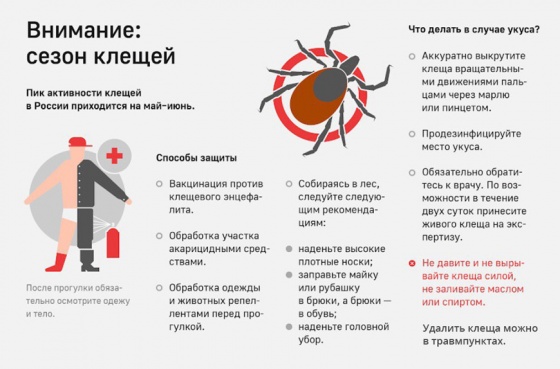 Внимание: Сезон клещей!