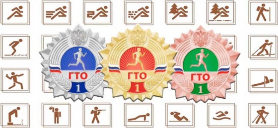 Итоги смотра конкурса ВФСК "ГТО"