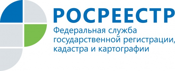 Проект «Земля для стройки» в Саратовской области: плюс 4 участка Проект «Земля для стройки» в Саратовской области: плюс 4 участка