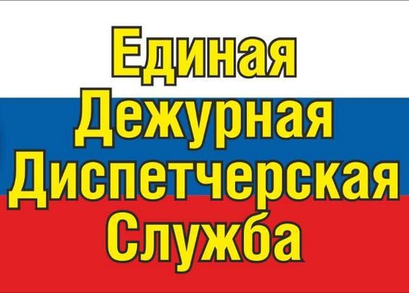 Ежедневный оперативный прогноз