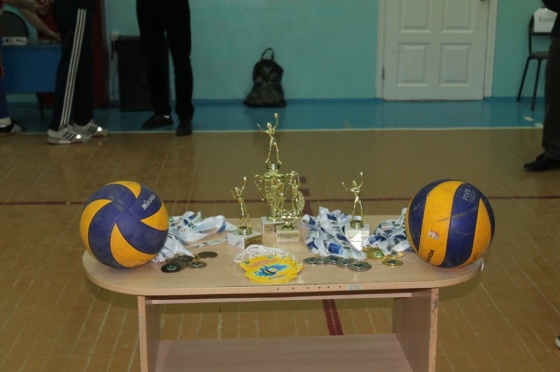 VIII открытый чемпионат по волейболу