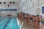   Первенство по плаванию