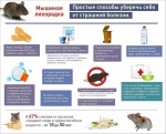 Мышиная лихорадка.