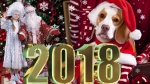 С НОВЫМ 2018 ГОДОМ