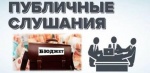 О назначении публичных слушаний по проекту отчета об исполнении бюджета Александрово-Гайского муниципального района Саратовской области за 2024 год