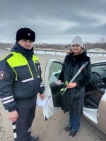 «Цветы для автоледи».