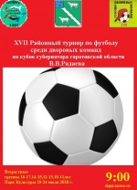 Районный турнир по футболу среди дворовых команд.