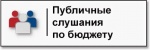 О проведении публичных слушаний по проекту бюджета Александрово-Гайского муниципального района на 2025 год и плановый период 2026 и 2027 годов