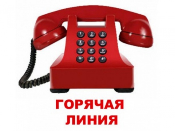 Горячая линия Центра занятости Горячая линия Центра занятости