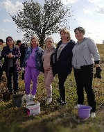   Экологический субботник