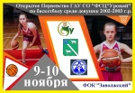"Баскетбол"