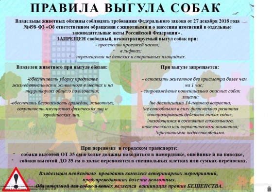 Правила выгула домашних животных.