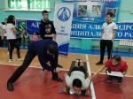 15 ноября в ФОК «Заволжский» состоялась Спартакиада работников дошкольных образовательных учреждений Александрово-Гайского района