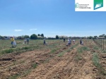 На благоустраиваемой в рамках проекта ФКГС общественной территории пер. Ветряной организован субботник. 