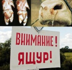 О запрете ввоза на территорию области  животных, вакцинированных против ящура