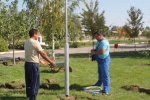 Продолжаются работы по благоустройству сквера в с. Новоалександровка.