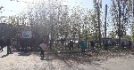Сотрудники центра социального обслуживания населения присоединились к всероссийской акции "ТРУДКРУГ" в рамках празднования Дня Весны и Труда.