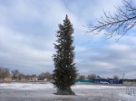 20.12.2017 г. В с. Александров-Гай возле пристанционного клуба установлена новогодняя ёлка