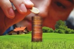 Выкуп земельного участка из аренды в собственность в 2020 году