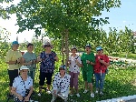 Нацпроект «Демография».