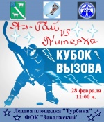 "Все на хоккей"