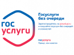 Госуслуги без очереди