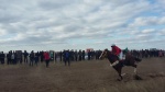 Конно-спортивные соревнования