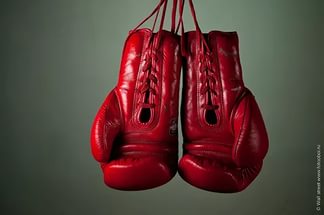 Встреча с олимпийским чемпионом Встреча с олимпийским чемпионом