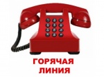 Горячая линия Центра занятости