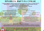 Правила выгула домашних животных.