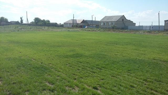 20160626_151159.jpg