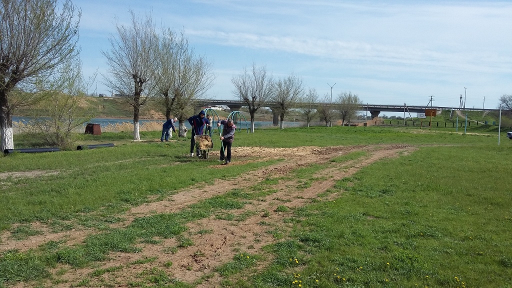 20160426_085252.jpg